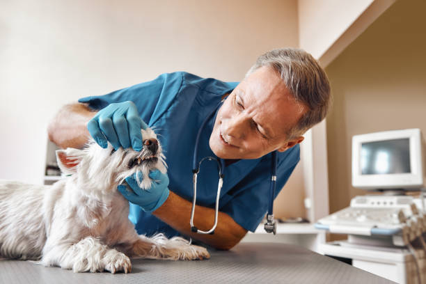 Best Emergency Dental Care for Sports Injuries in Soperton, GA