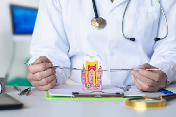 Best Broken or Chipped Tooth Repair in Soperton, GA